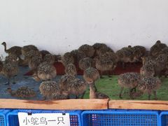 -长春农博园
