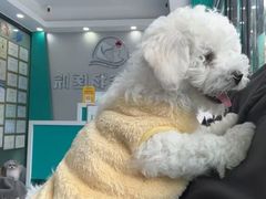-博特宠物医院24h犬猫全科.骨科·异宠