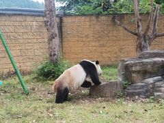 -杭州野生动物世界