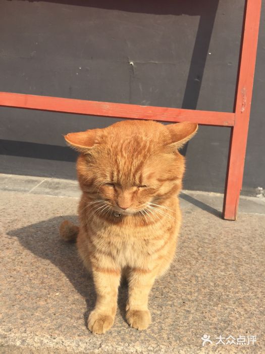 常州天宁禅寺图片