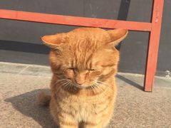 -常州天宁禅寺