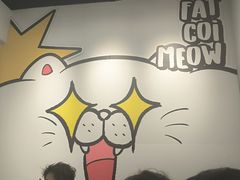 -废柴猫概念馆·桌游电玩卡牌(人广世茂店)