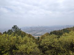 -灵岩山风景区