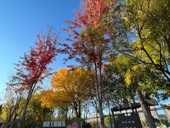 -回龙观体育文化公园