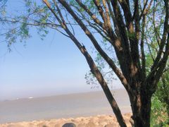 -上海吴淞炮台湾国家湿地公园
