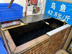 -重庆乌鱼庄·龙滋鲜(青羊大道店)