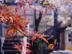 -不止轰趴独栋别墅户外烧烤(颐西庄园店)