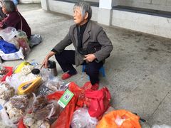 -广州市流溪河国家森林公园