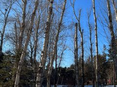 -长春市南湖公园