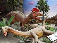 -国家自然博物馆