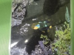 -厦门诚毅自然探索馆