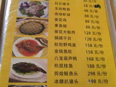 -丁老爷子苏香圆