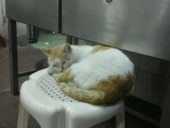 -非遗·爱西干面(小公园总店)