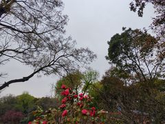 -无锡梅园公园