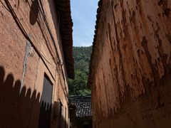 -杨家堂村