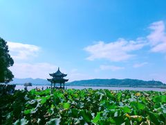 -西湖外事游船(湖滨二公园外事游船码头)