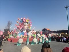 -荷兰花海