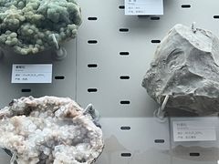 -浙江自然博物院(杭州馆)
