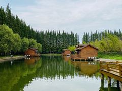 -金岛生态园烧烤露营地