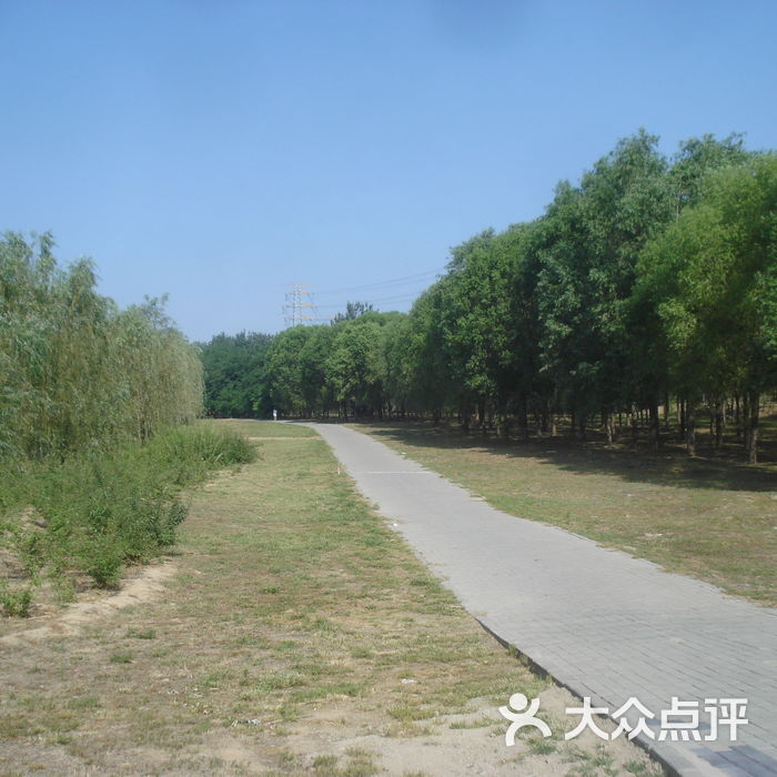 东坝千亩湖公园
