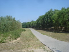 -东坝千亩湖公园