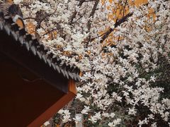 -龙华寺