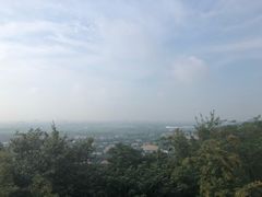 -上海佘山国家森林公园西佘山园