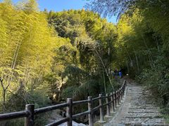 -四明山国家森林公园