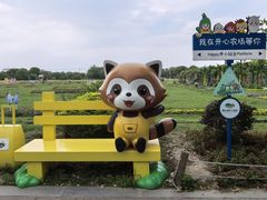 -苏州太湖西山岛开心农场