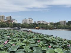 -济南大明湖景区