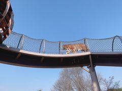 -无锡动物园·太湖欢乐园