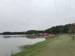 -上海海湾国家森林公园