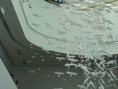 -中国湿地博物馆
