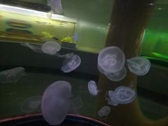 -常州海昌海洋探索馆