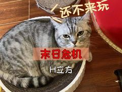 -H立方实景剧情密室(天河旗舰店)
