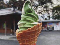 蛋筒-豆政(金閣寺境内売店)