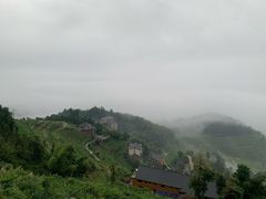 -紫鹊界梯田景区