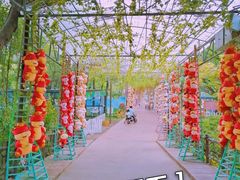 -盈香心动乐园