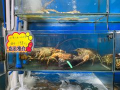 -蚝专家(北滘店)