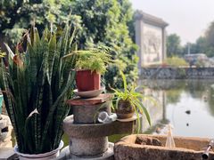 -烟桥私房菜馆(奋哥)