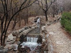 -静之湖度假区