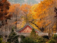 -青岛崂山太清宫