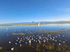 -青海湖国家重点风景名胜区