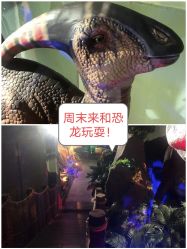 -恐龙探索乐园(磁器口店)
