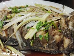 -微山岛春天里酒家
