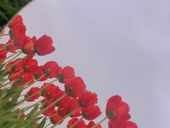 -大宁公园