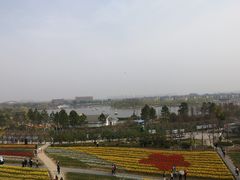 -杭州湾海上花田景区