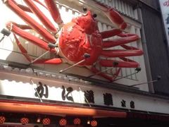 -蟹道乐(道顿堀本店)