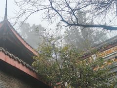 -老君山