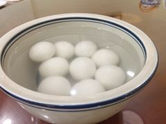 -椿不老